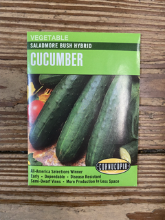 Cornucopia Saladmore Bush Hybrid Cucumber