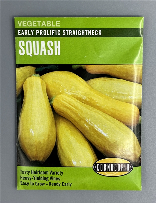 Cornucopia Early Prolific Straightneck Squash Seeds