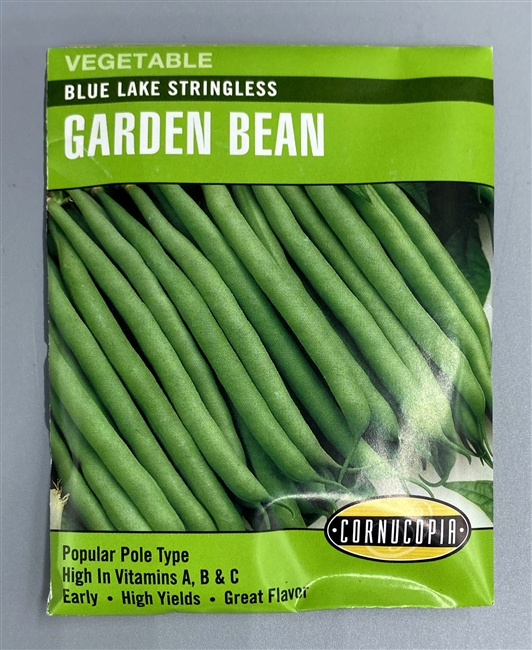 Cornucopia Blue Lake Stringless Garden Bean