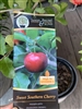 Southern Cherry Tree 1 gallon