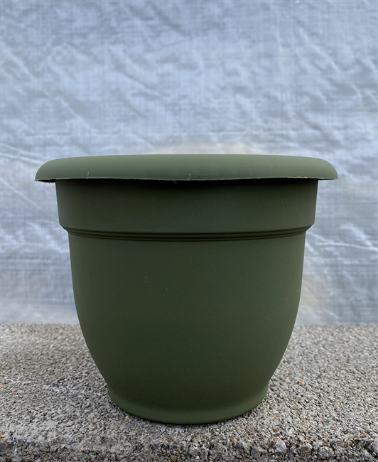 Ariana Planter Living Green 6"