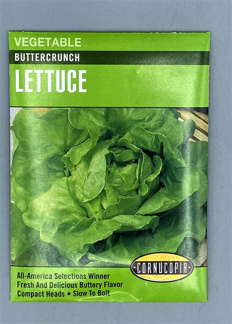 Cornucopia Buttercrunch Lettuce Seeds