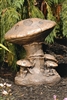 Massarelli Mushroom Cluster, Medium, 15"