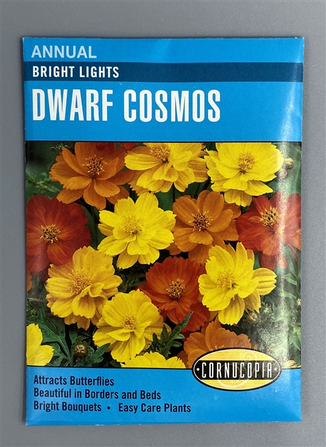 Cornucopia Bright Lights Dwarf Cosmos