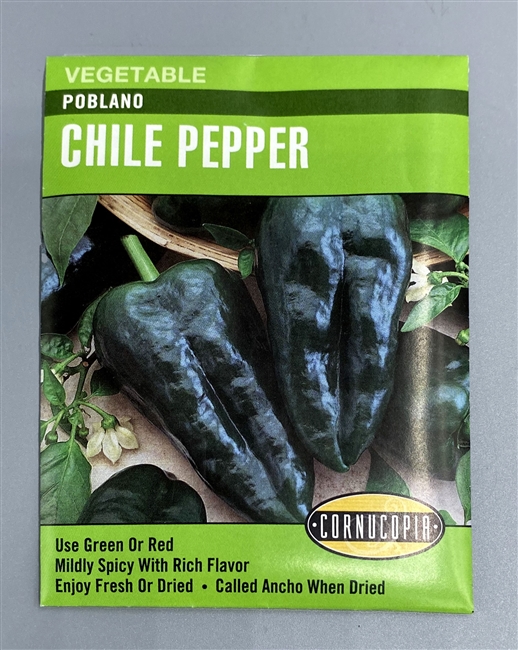 Cornucopia Poblano Chile Pepper