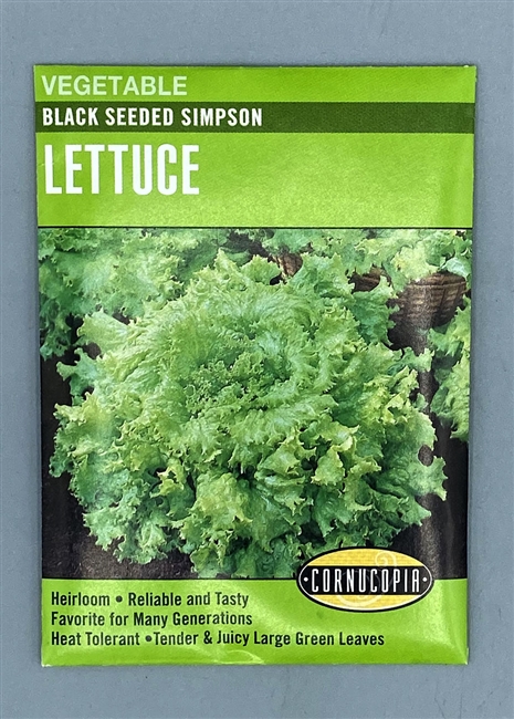 Cornucopia Black Seeded Simpson Lettuce Seeds