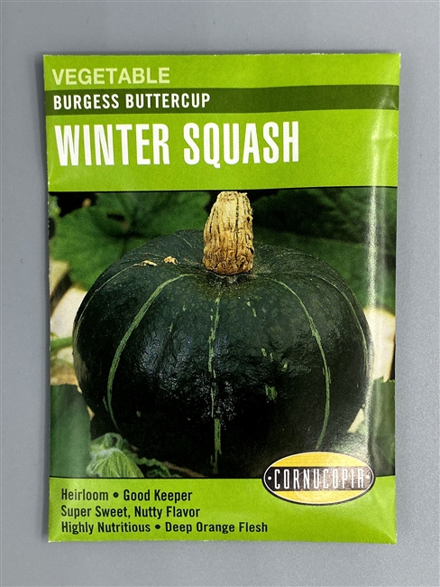 Cornucopia Burgess Buttercup Winter Squash Seeds