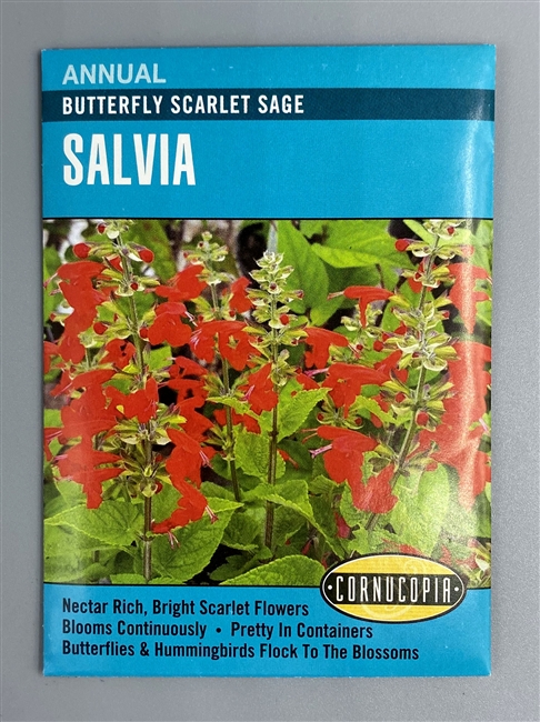 Cornucopia Butterfly Scarlet Sage Salvia