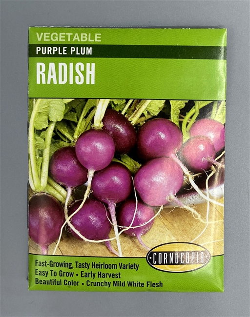 Cornucopia Purple Plum Radish Seeds