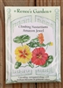 Renee's Garden Nasturtium Amazon Jewel Climbing