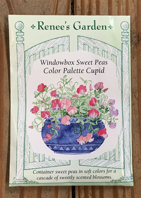 Renee's Garden Sweet Pea Color Pallet Cupid Windowbox