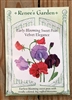 Renee's Garden Sweet Pea Velvet Elegance