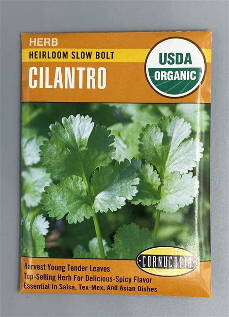 Cornucopia Organic Heirloom Slow Bolt Cilantro