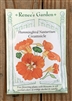 Renee's Garden Nasturtium Creamsicle