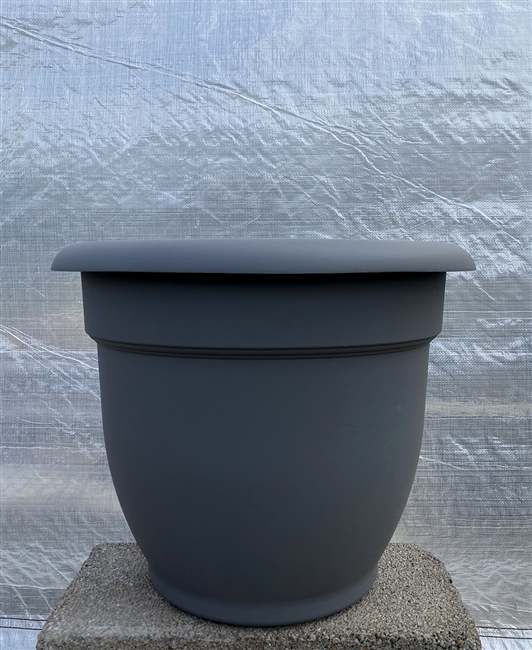 Bloem Ariana Planter 16" Charcoal