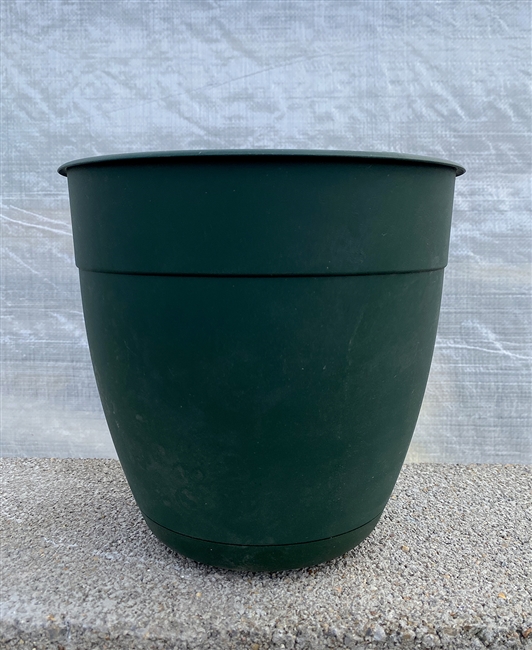 Dayton Planter Turtle Green 8"