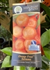 Orange Frost TM Satsuma Tree 5 Gallon