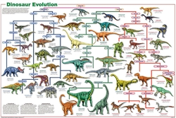 Dinosaur Evolution -Laminated
