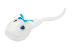 Giant Microbes- Sperm Cell