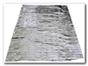 Mylar Emergency Blanket