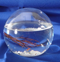 Small 4"  EcoSphere