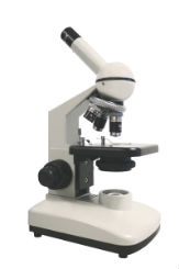 Walter Series 40 Monocular Microscope
