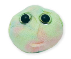 Giant Microbes - Stem Cell