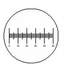 Microscope Eyepiece Reticle - 0.1mm Linear Scale 19mm Diameter