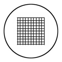 Microscope Eyepiece Reticle - Grid with 1mm increments - 20mm diameter