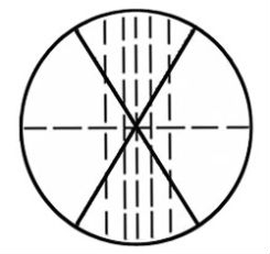 Microscope Eyepiece Reticle with Crosshair 19mm Diameter