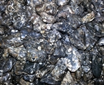 Turitella Agate - 3/4" - Tumbled