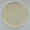 Potato Dextrose Agar Prepared Plate - Set of 10 plates