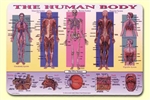 Human Body Placemat