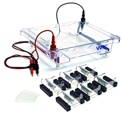 EL-600 Electrophoresis Apparatus with 6 7x7cm Casting trays