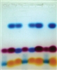 Specifity of Albumin Binding Classroom Kit