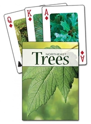 Trees of the Northeast Playing Cards
