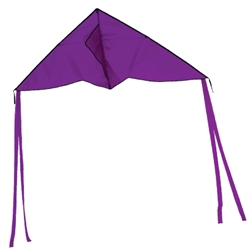 Purple Colorfly Delta Kite 56" x 22"