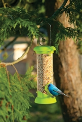 Bird Feeder and Backyard Bird guide