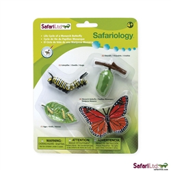 Safari Life Cycle of the Monarch Butterfly