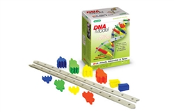 DNA Model