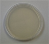 Starch Agar Prepared Plate -Set of 10