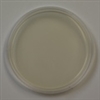 Nutrient Agar Prepared Plate - Set of 10 plates