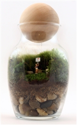 Gentle Reminder Terrarium