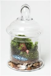 The Water's Fine Readymade Terrarium