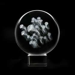 Crystal Sphere Sea Nettle Paperweight