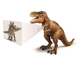 Dinosaur Projector and Room Guard