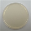 R2A Agar 10 prepared plates