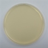 Tryptic Soy Agar with Lecithin & Tween 10 prepared plates