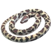 Rubber Rock Python Snake 26"
