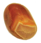 Carnelian Tumbled 3/4"